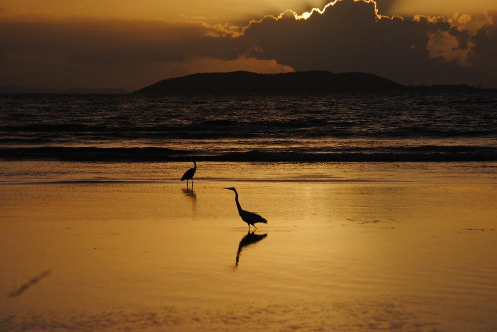 Fajardo Peaceful Place Playa Sardinera Exterior foto